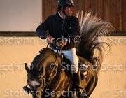 CAletto della Verdina TosTour2013- S5 3150 : Arezzo, Arezzo Equestrian Centre, Caletto della Verdina, Cavalli d'Italia, Toscana Tour 2013, foto di Stefano Secchi ©